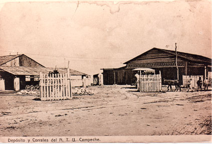Nuevo Tranvía Urbano de Campeche